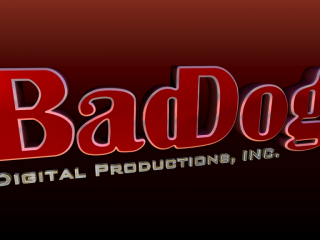 BadDog Digital Productions, Inc. logo image