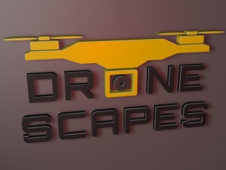 Drone Scape&#039;s 3D Logo 2021